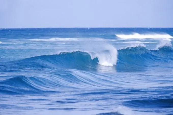 Laut mana yang paling bersih