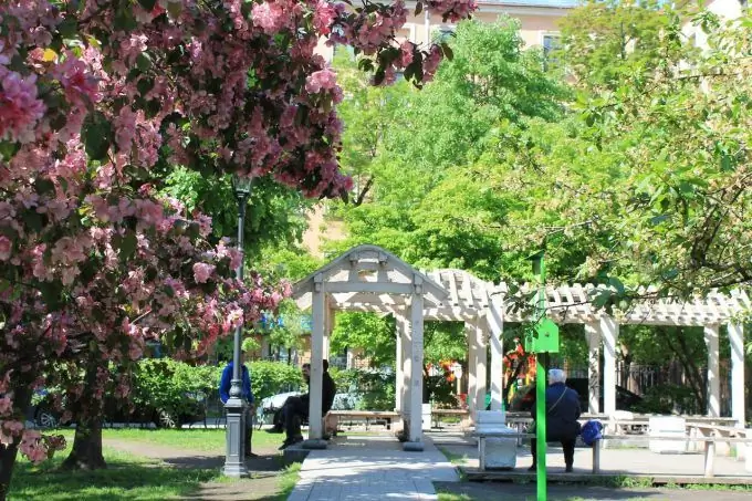 Cómo es el Jardín de la Amistad en San Petersburgo y dónde está ubicado