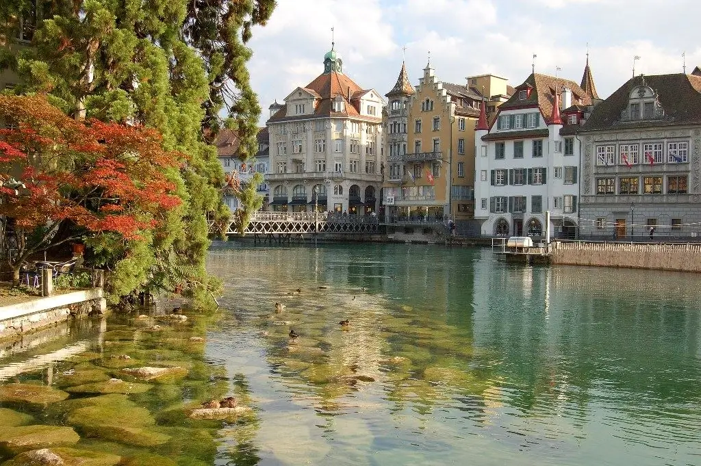 Luzerne